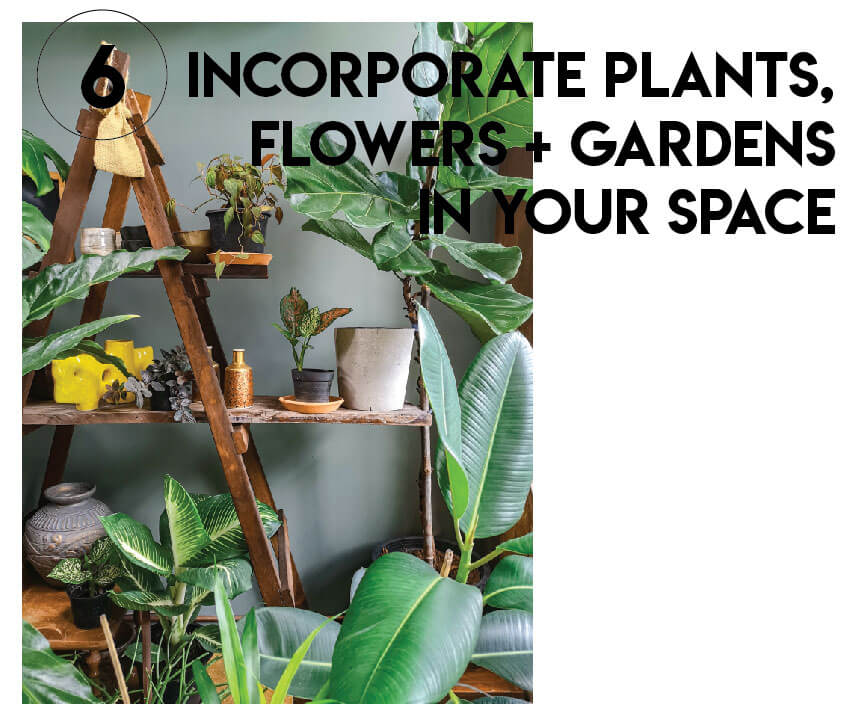 plants for holistic space